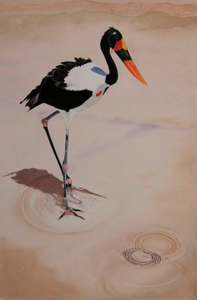 Saddle-Billed Stork - Pastel - 18 x 12