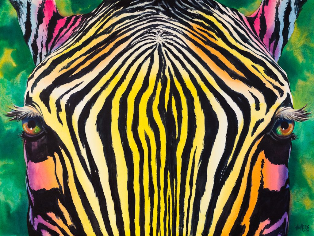 Zebra Dream - Watercolor - 30 x 40