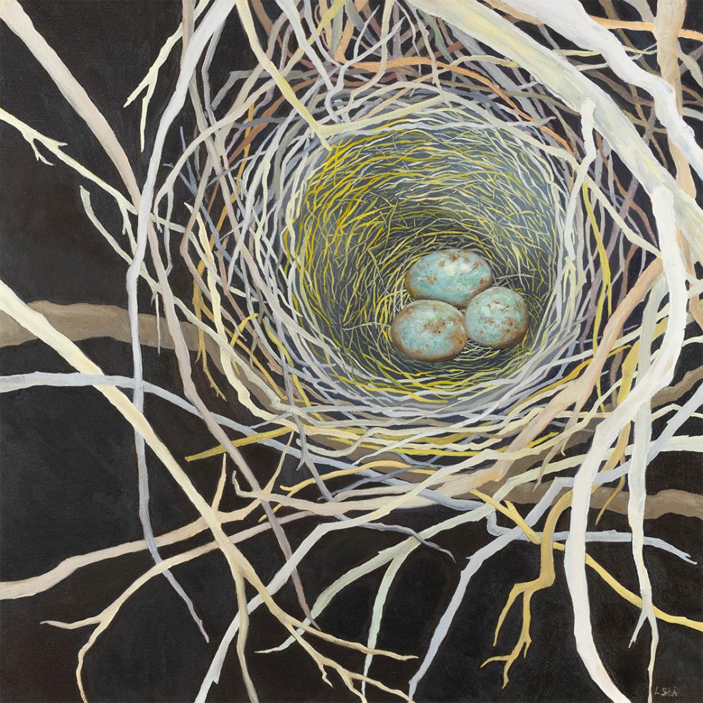 Reliquary / Scrub Jay Nest - Oil - 24 x 24
