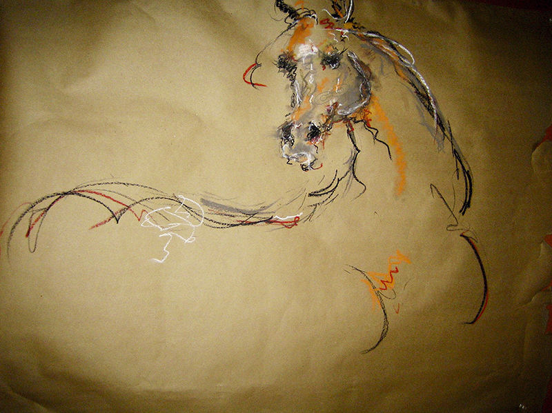 Untitled - Pastel, charcoal on butcher paper -34 x 54