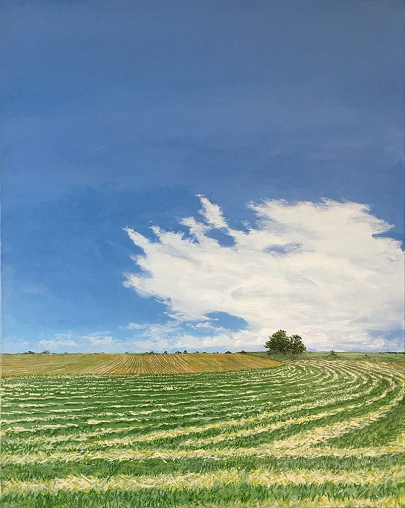 Colorado Field - Acrylic on Canvas - 30 x 24