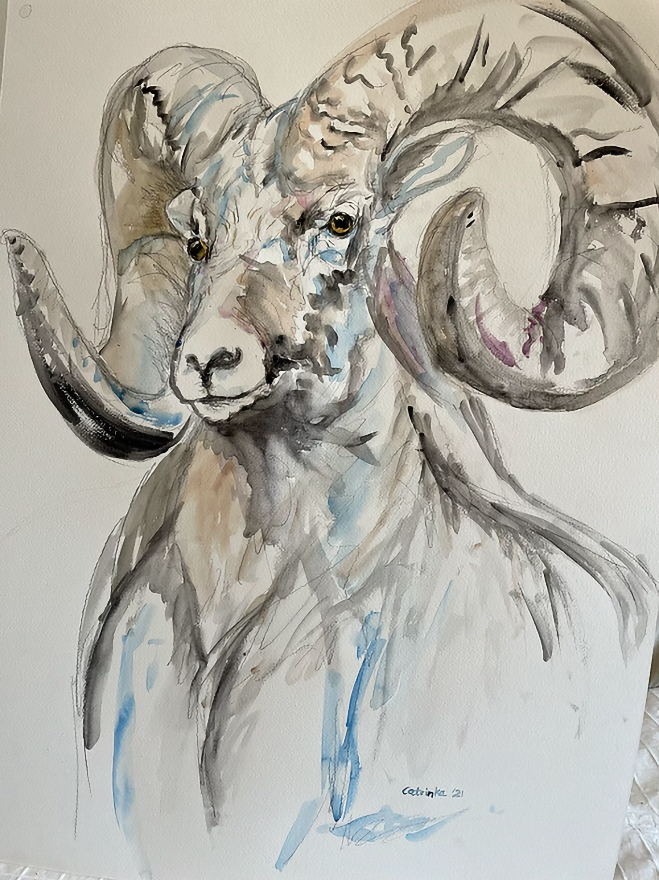 Head Honcho Bighorn Sheep-Watercolor-22x36