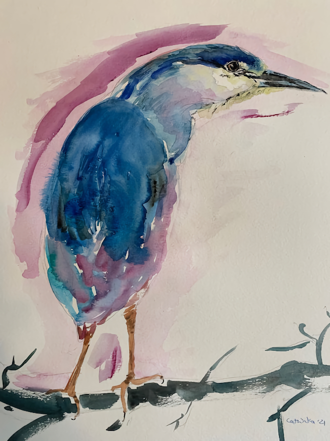 Sushi, Anyone Black Crowned Night Heron-Watercolor-15x22