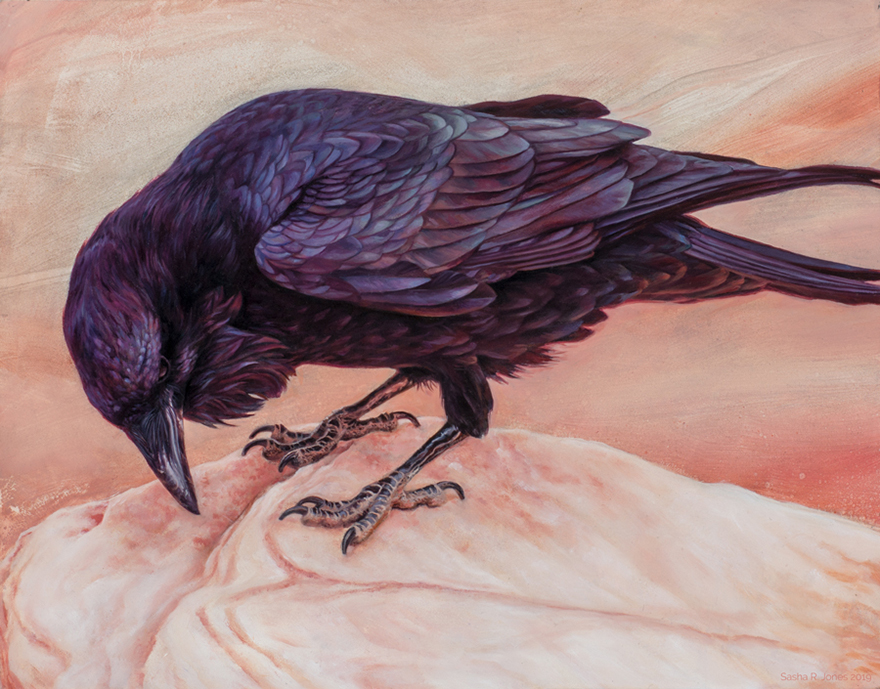 Desert Raven – Oil - 11x14