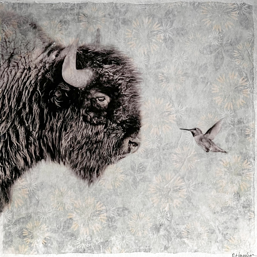 Bison and Hummingbird-MixedMedia-36x36
